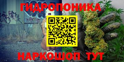 гашик Бузулук