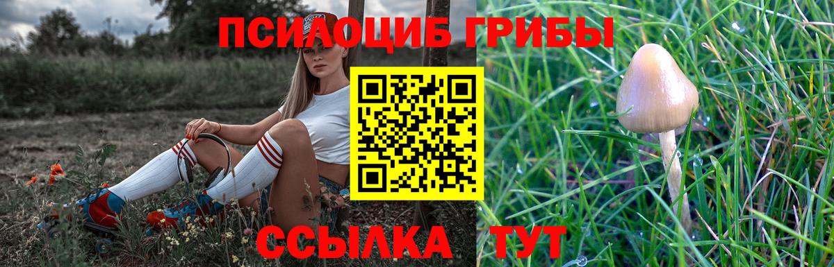 Псилоцибиновые грибы прущие грибы Нарьян-Мар