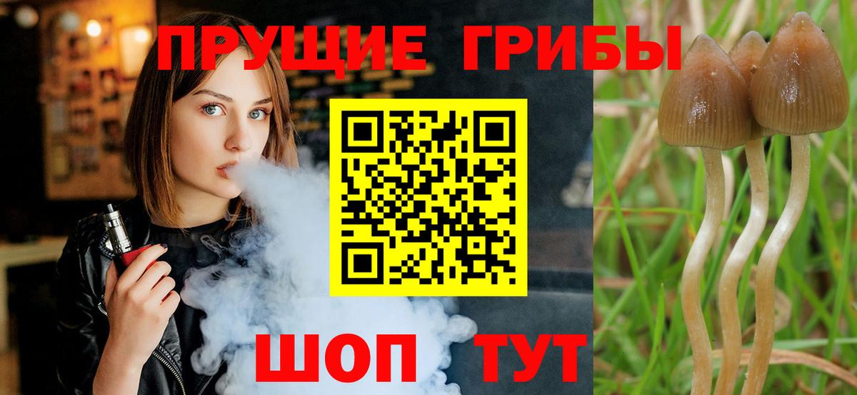 Нарьян-Мар  Псилоцибиновые грибы Magic Shrooms  цены наркотик  Вход с VPN  Галлюциногенные грибы Psilocybine cubensis 